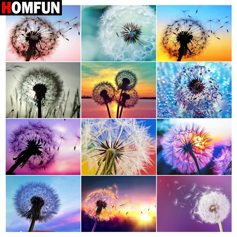 HOMFUN 5d Diamond Painting Full Square/Round "Dandelion Colors Sky" Picture…