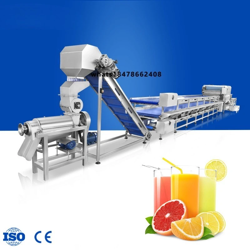 Health Beverage Factory Customizable Fruit Cleaning Juicing Line Industrial…
