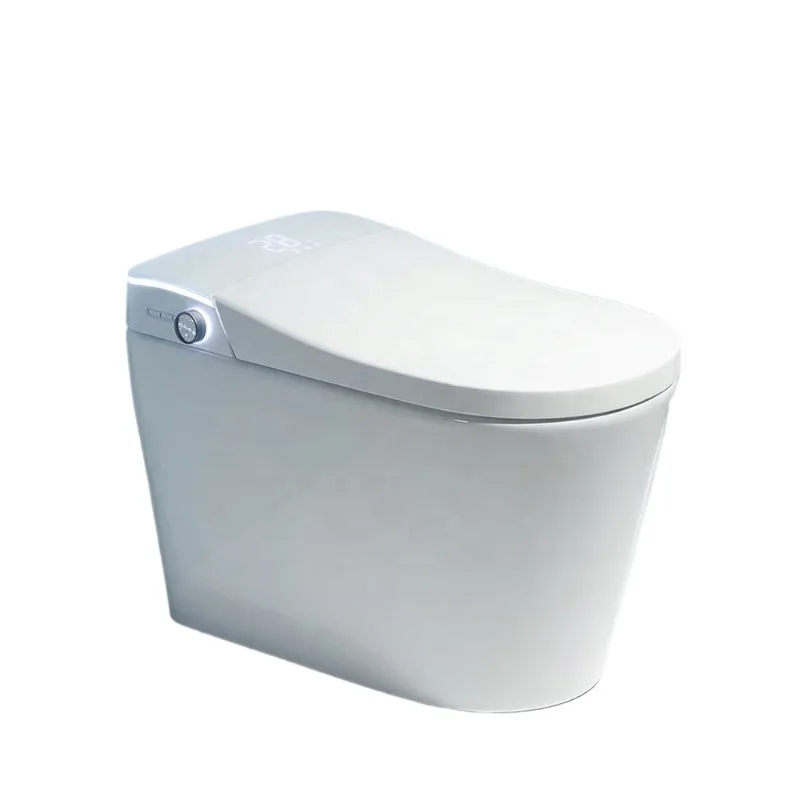 Intelligent All-in-one Electric Toilet with Heated Seat, Night Light…