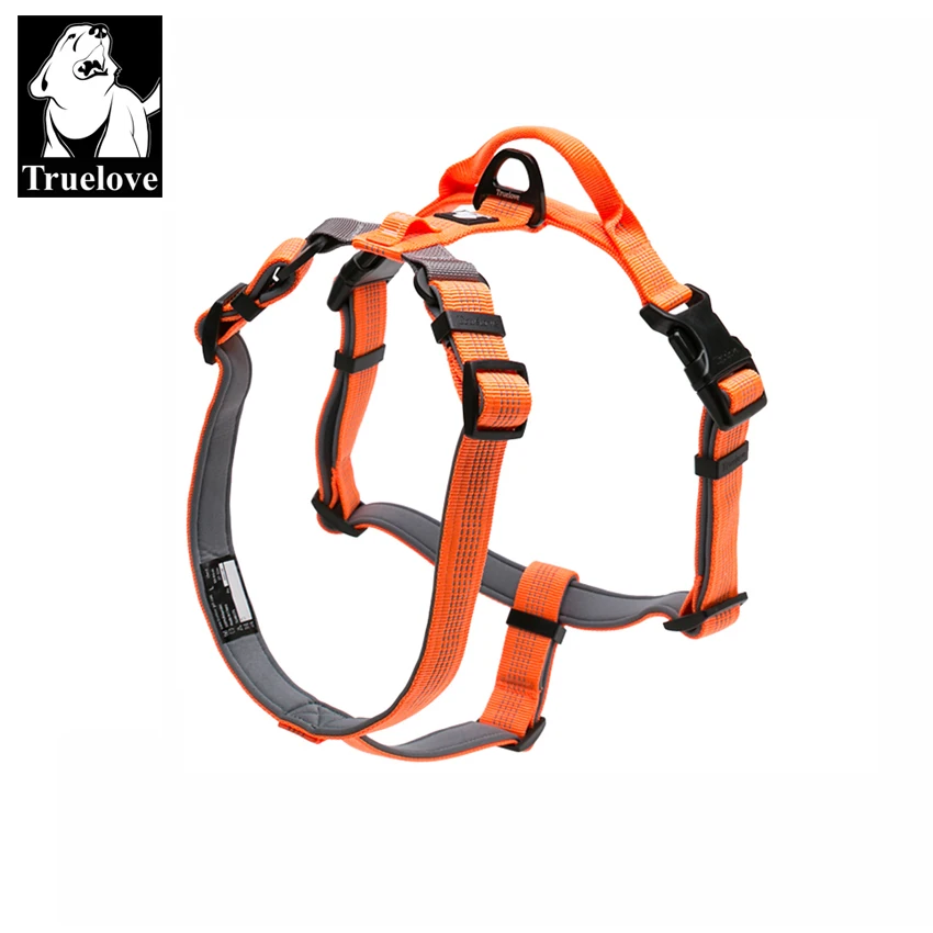 Truelove Pet Harness Adjustable Reflective Nylon with Collar Leash LED Light…