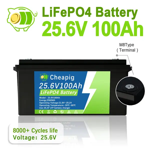 25.6V 100Ah LiFePO4 Battery 24V 100AhLithium Iron Phosphate Batteries Build…