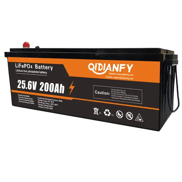 24V 200Ah Lithium Iron Phosphate Battery with Built in BMS 5120wh 10000 Deep…