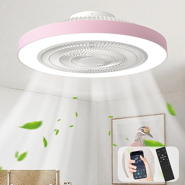 Depuley Bedroom Ceiling Fan with Light: 19" Modern LED Flush Mount Low…