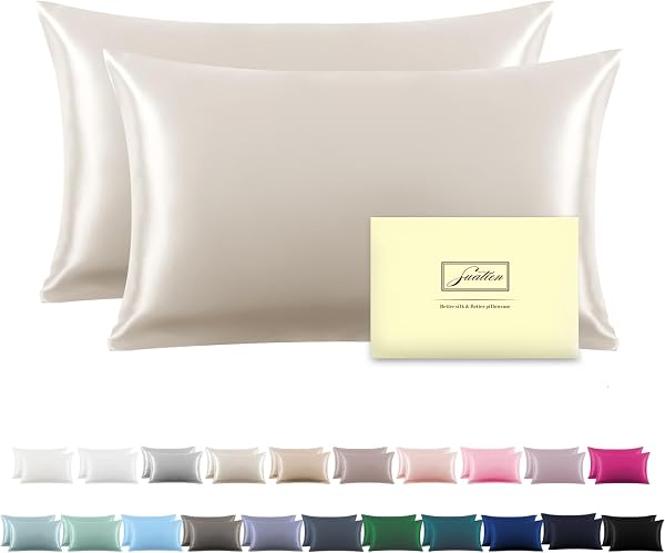 Silk Pillow Cases 2 Pack,Soft Breathable and Sliky Queen Size Pillow Cases…