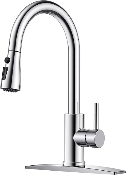 FORIOUS Kitchen Faucet with Pull Down Sprayer, Stainless Steel, Chrome