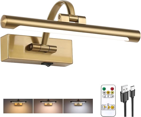 Tassuowell Rechargeable Picture Light with Remote Control,12 Inch Brass…