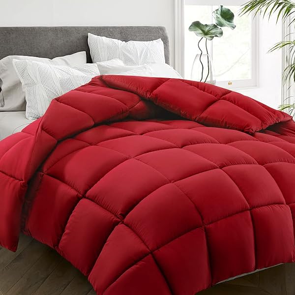 HYLEORY All Season Twin Size Bed Comforter - Cooling Goose Down Alternative…