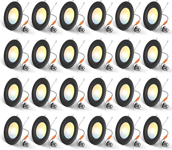 Amico 24 Pack 5/6 Inch LED Recessed Lighting, Retrofit can Lights, Black