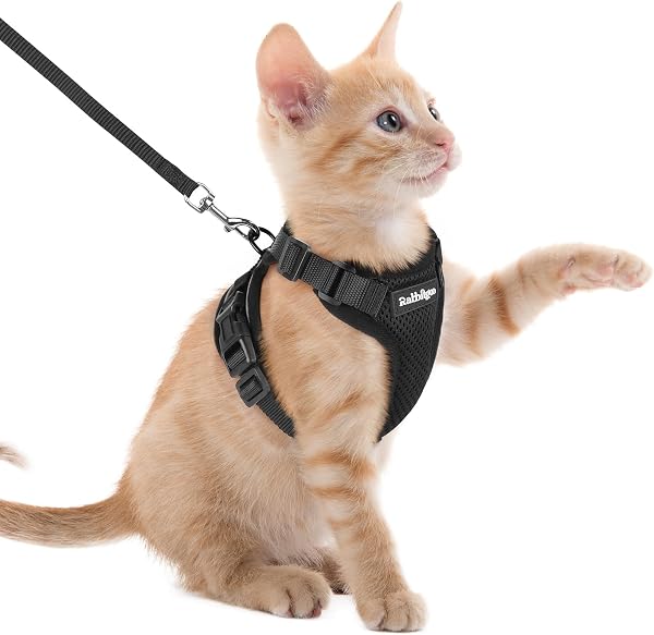 Rabbitgoo Cat Harness and Leash Set, Escape Proof Vest, Black