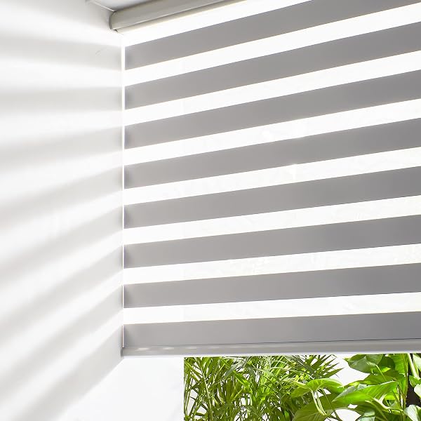 Persilux Cordless Zebra Blinds for Windows Free-Stop Roller Windows Shades…