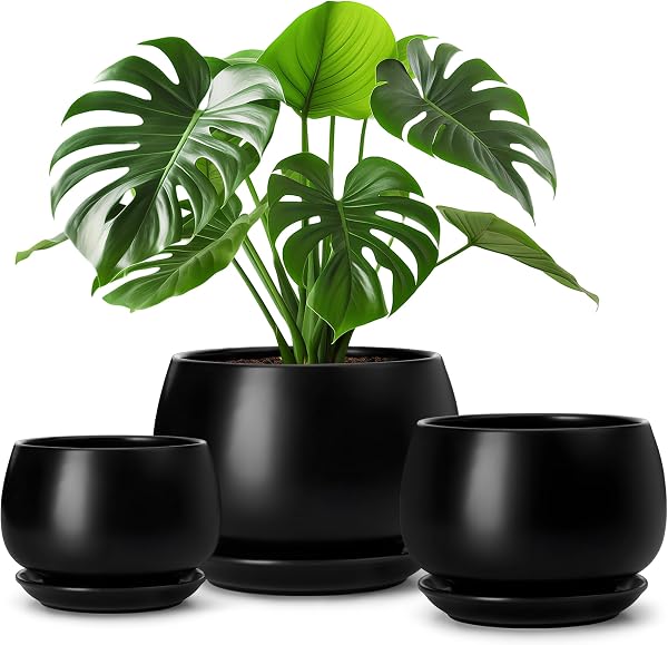 Vancasso 3-Pack Ceramic Plant Pots, 3.7/4.8/6.2 Inch Indoor Planters with…