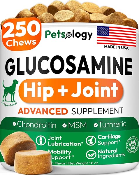 Glucosamine for Dogs - 250 Chews with Chondroitin, Hip and Joint Supplement