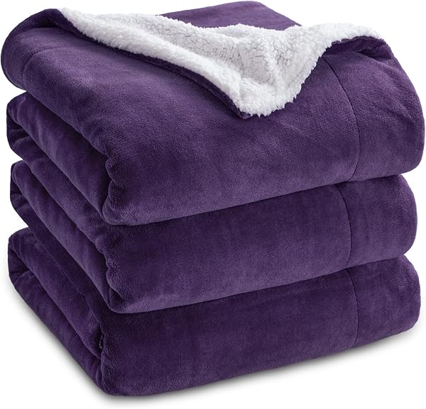 Bedsure GentleSoft Sherpa Fleece Blanket Queen Size for Bed, Non-Heated…