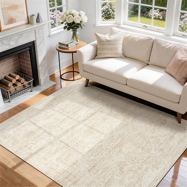 Aelenmu 5x7 Area Rugs for Living Room Washable Bedroom Dining Room Beige