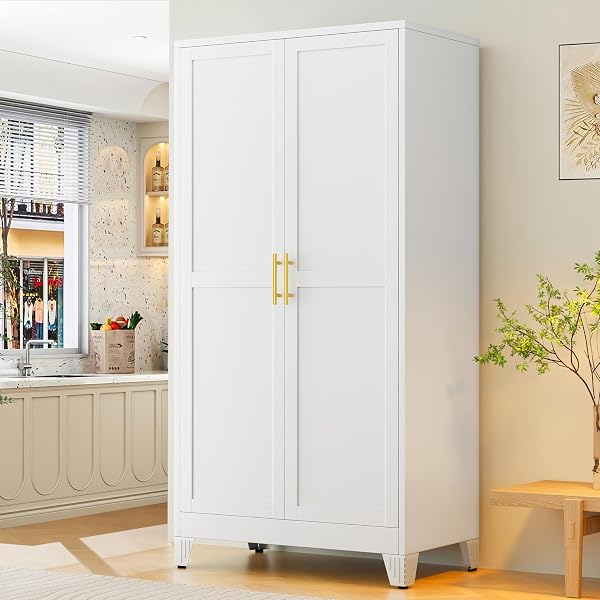 GAIOUS 79" Tall New Update Kitchen Pantry Cabinet, Metal Storage Cabinet