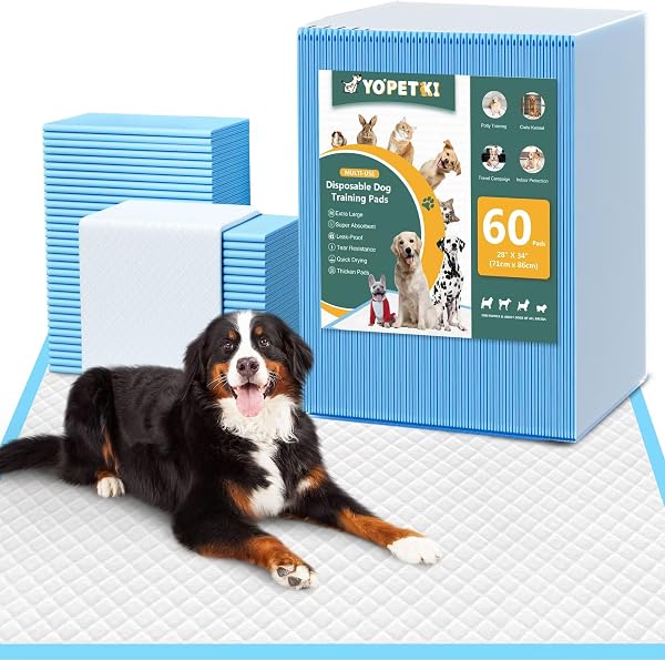 60 Count Extra Large Dog Pee Pads 28" X 34", Absorbent X-Large Puppy Pads…