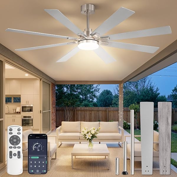 Fanbulous 65 Inch Ceiling Fans with Lights DC Motor, Remote & APP Control