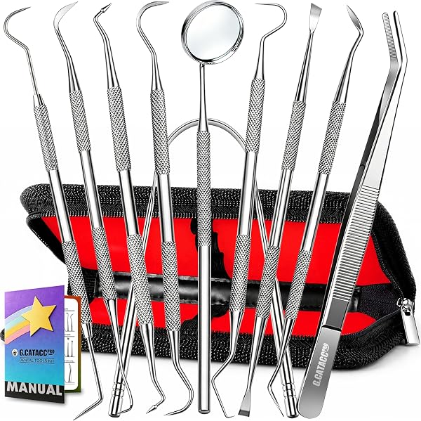G.CATACC 10 Pack Dental Tools Kit, Professional Teeth Cleaning Set